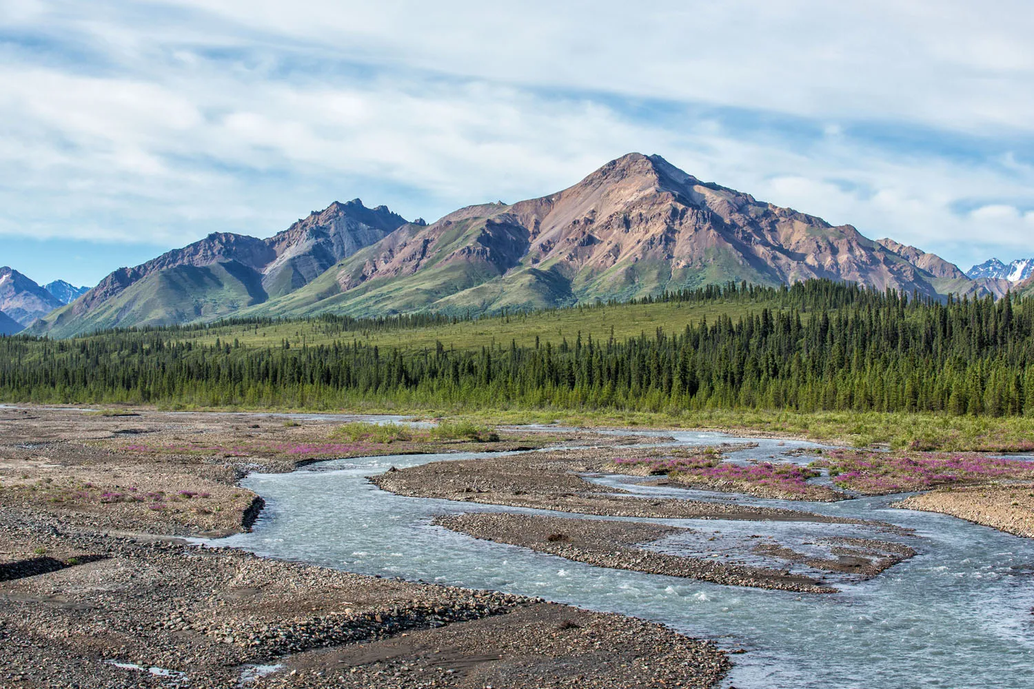 Denali Landscape Photo