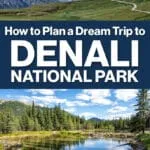 Denali National Park Ultimate Guide