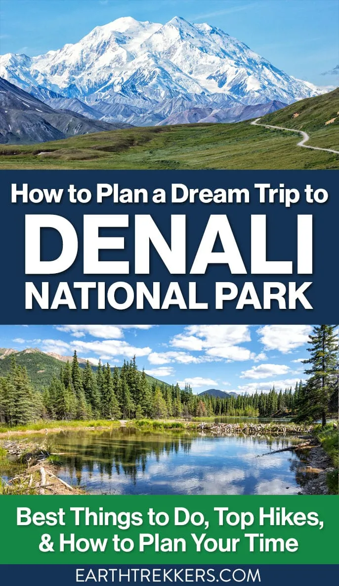 Denali National Park Ultimate Guide