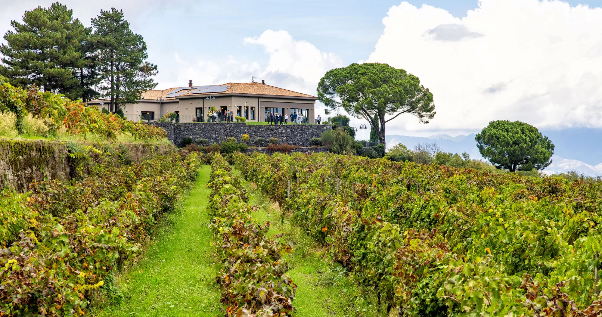 Etna Wine Region Guide
