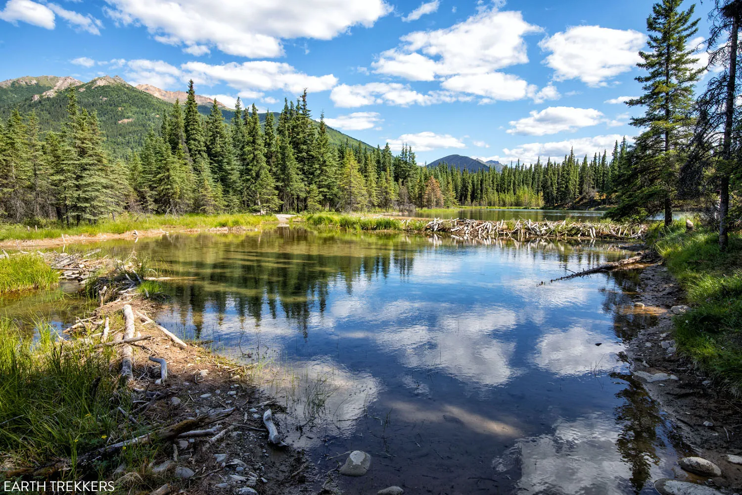 Horseshoe Lake Denali
