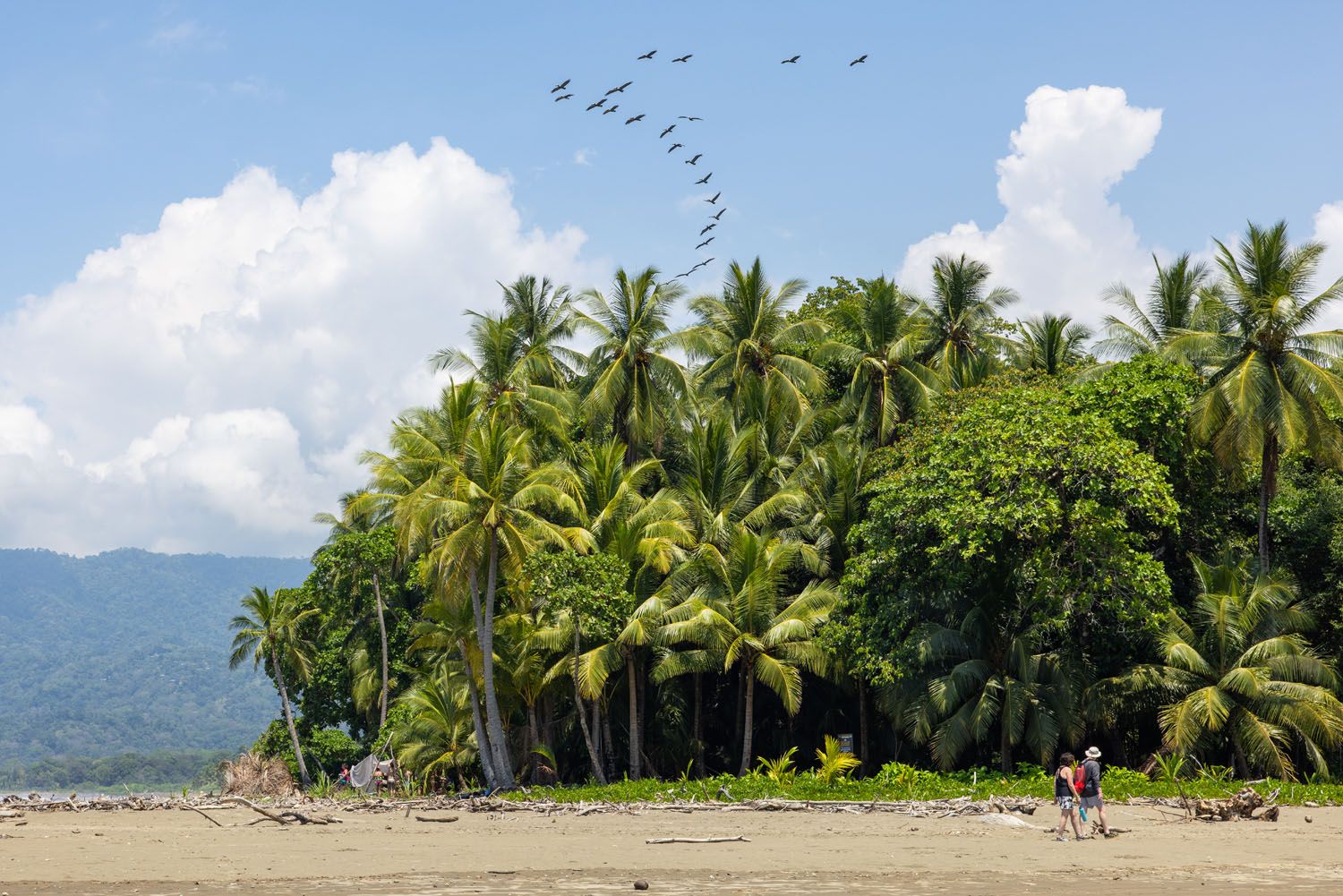 Marino Ballena National Park