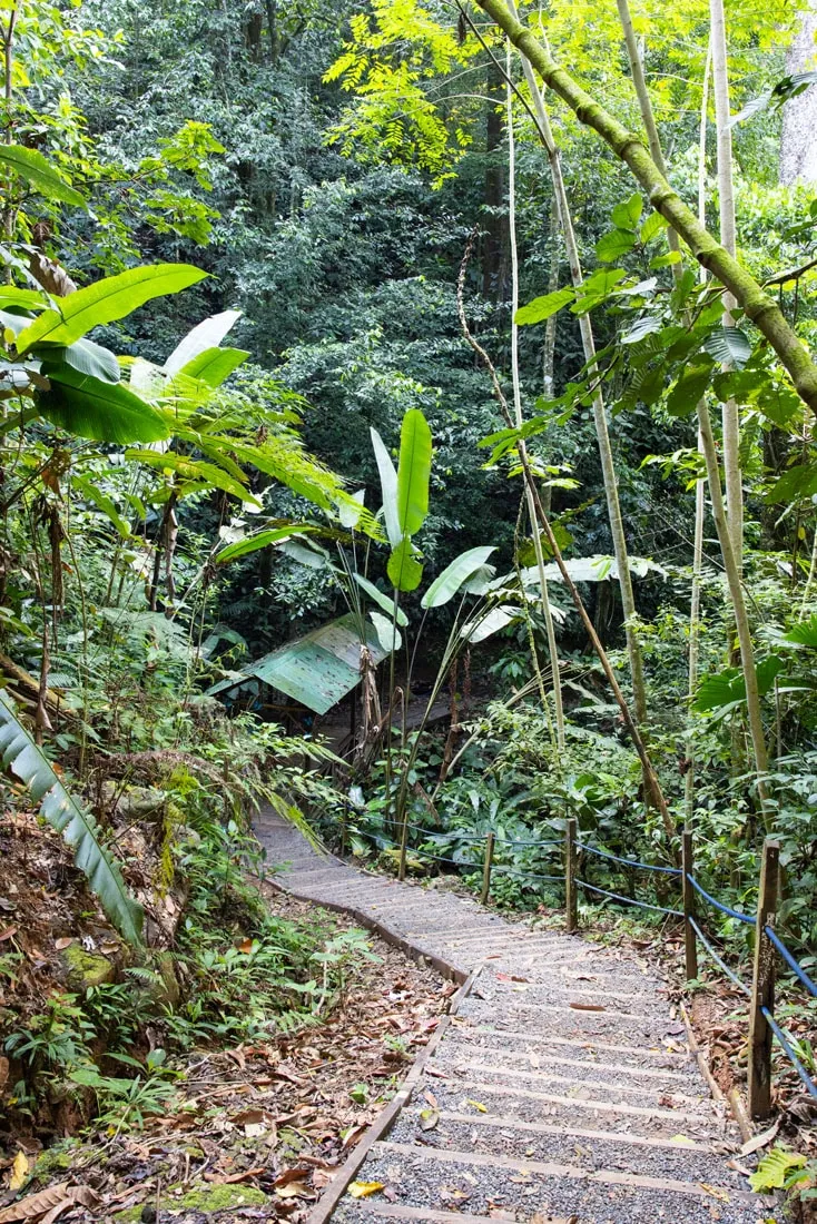 Nauyaca Waterfall Nature Park Trail