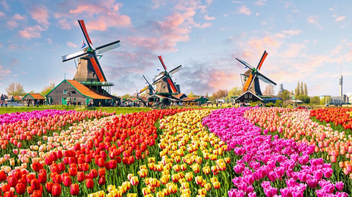 The Netherlands