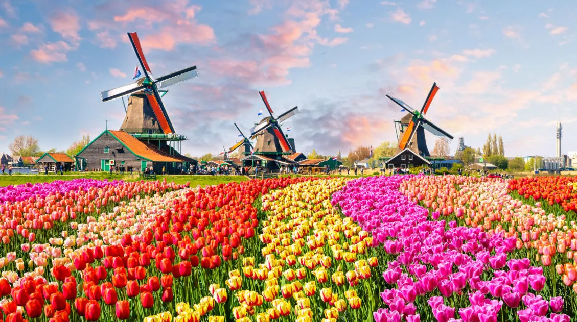 The Netherlands