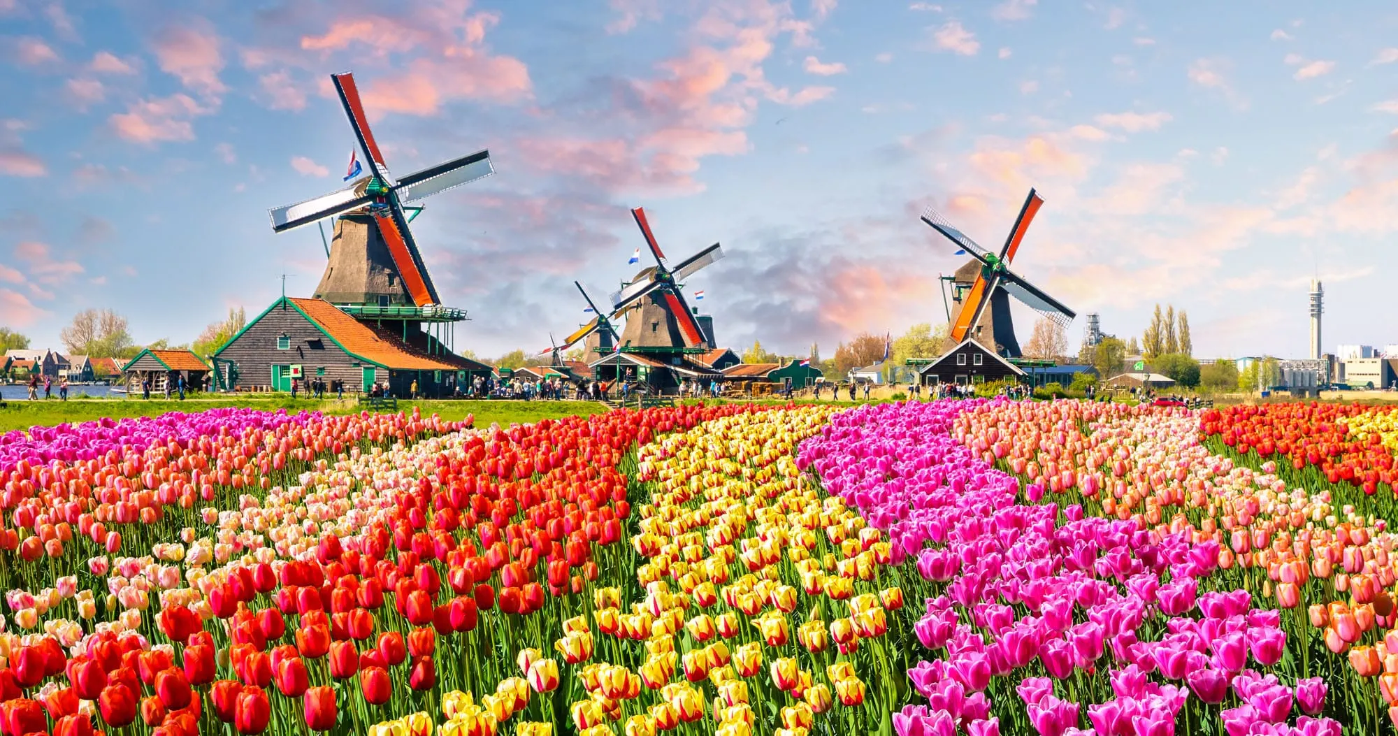 The Netherlands