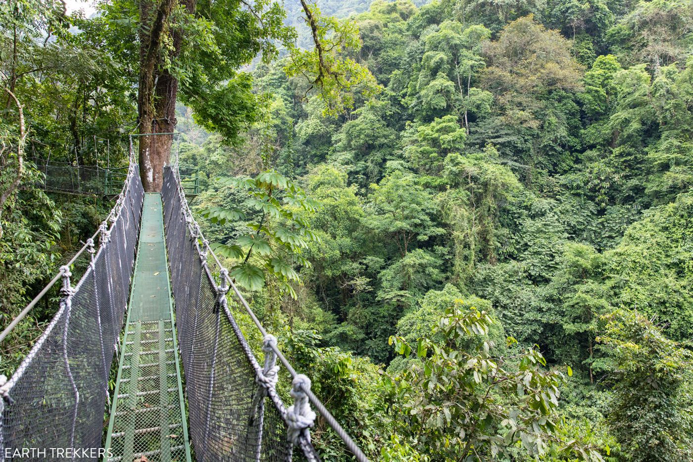 Rainmaker Park Costa Rica