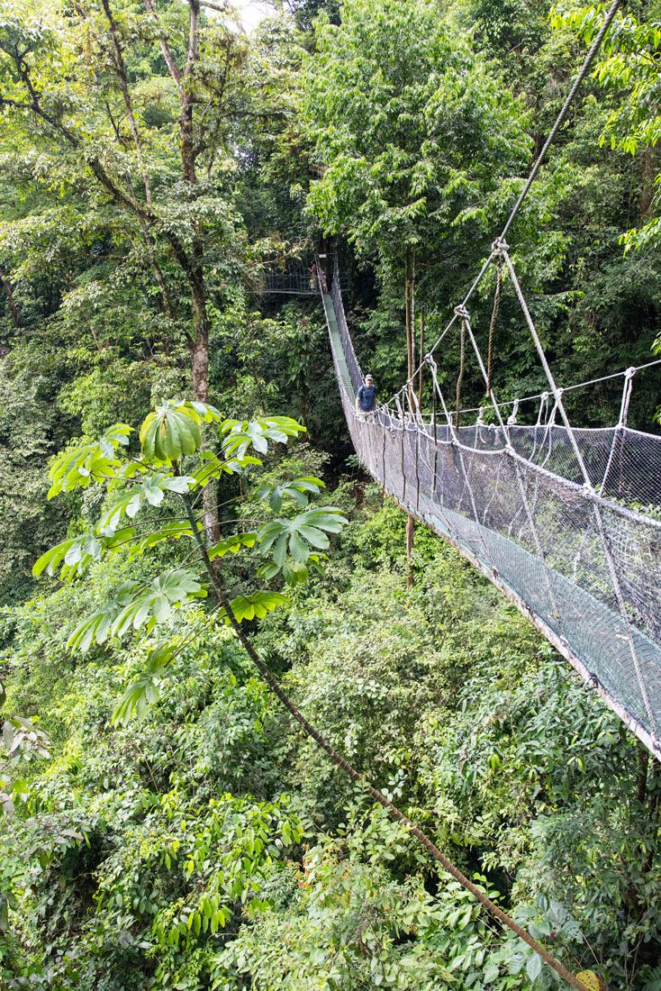 Rainmaker Park Suspension Bridge