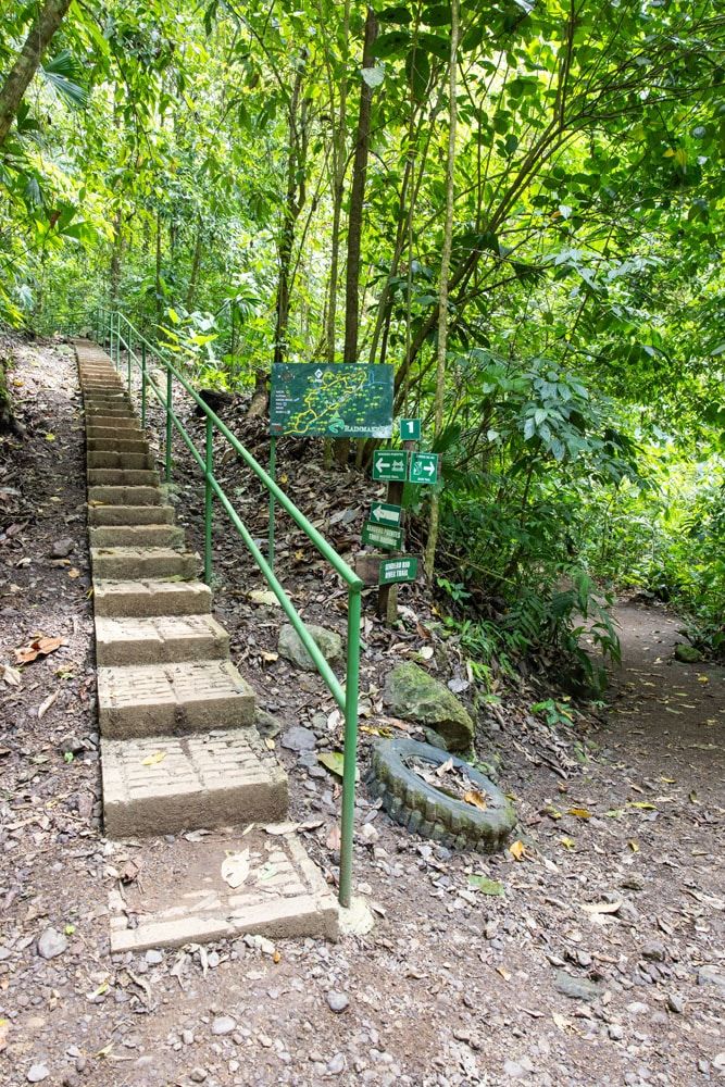 Rainmaker Park Trail Split