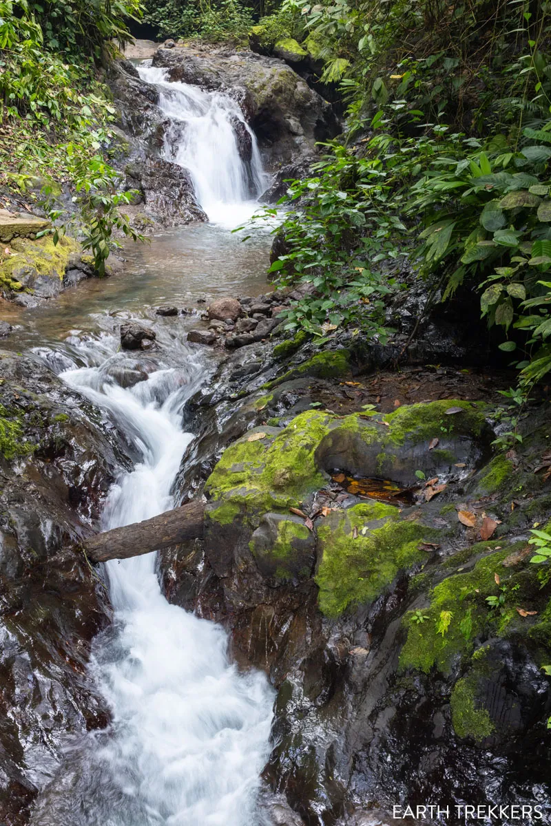 Rainmaker Park Waterfall
