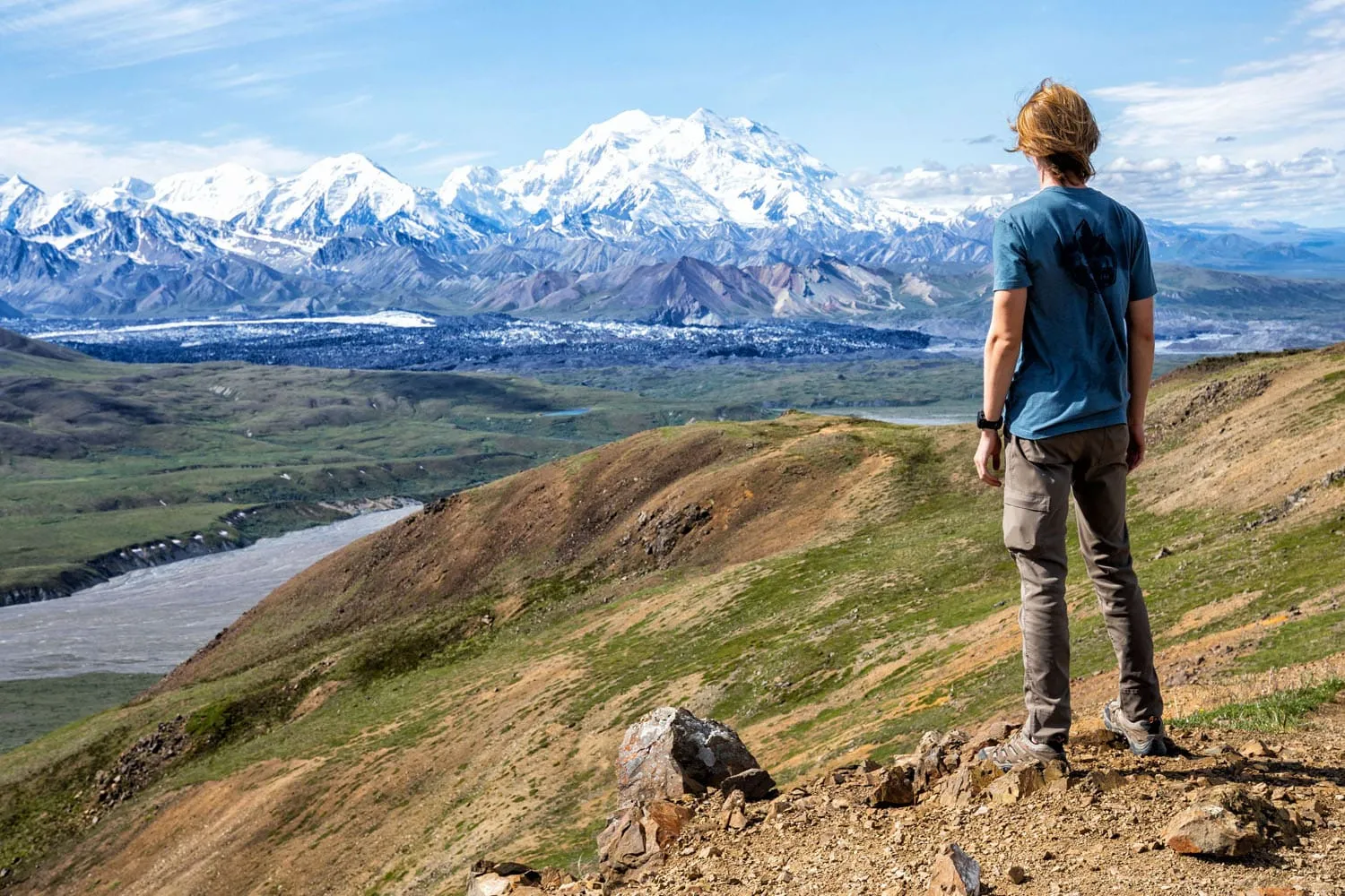 View of Denali from Eielson