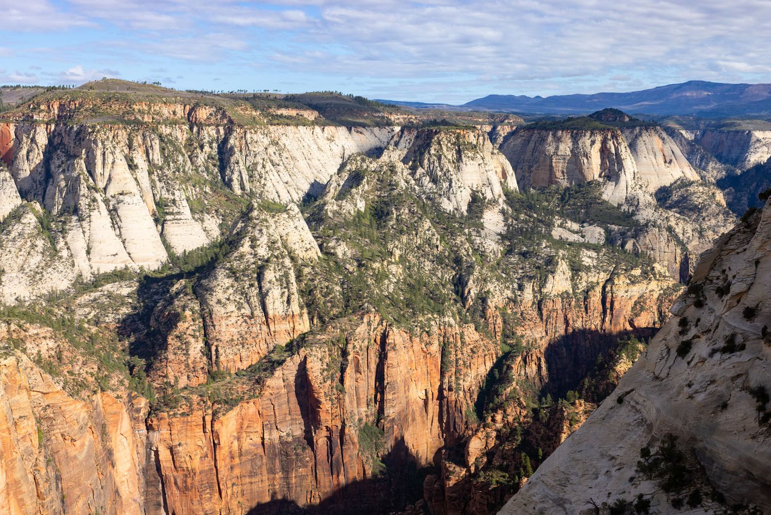 Another Observation Point View