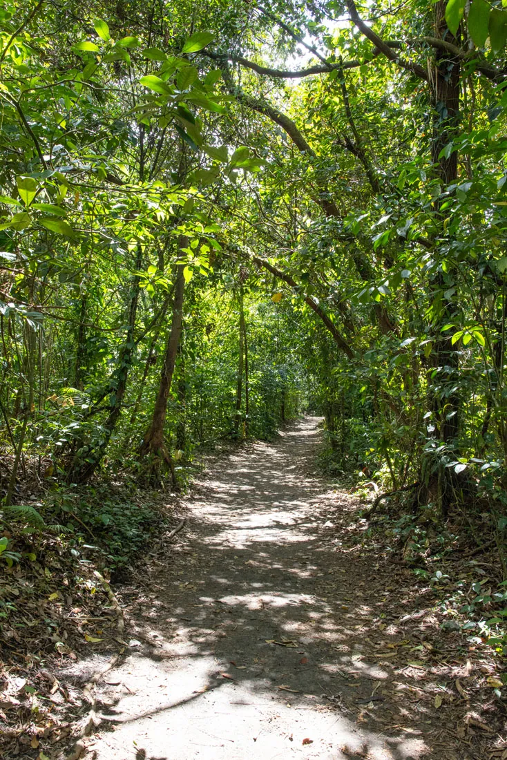 Arenal Volcano Trail