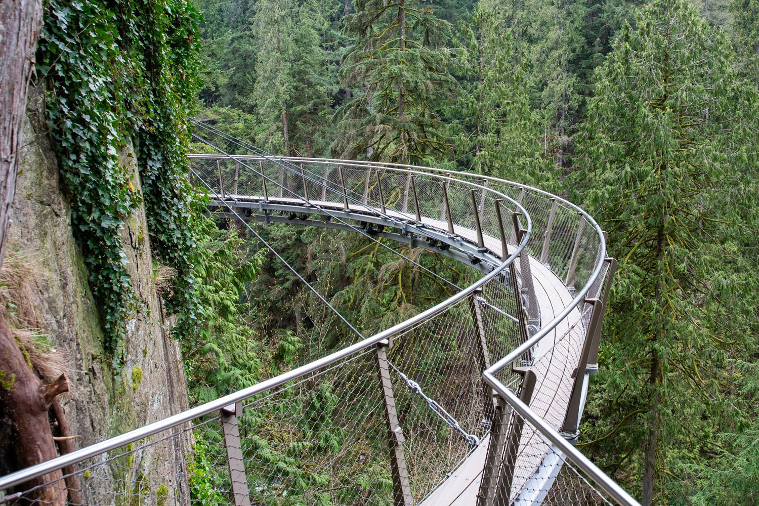 Capilano Cliffside Walk Photo