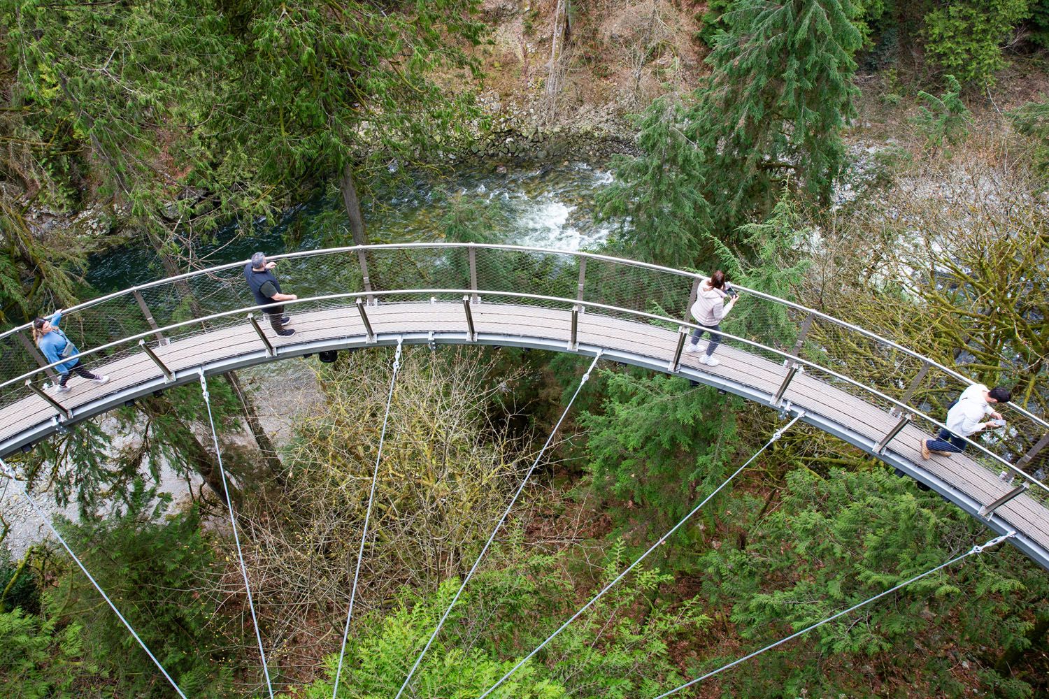 Capilano Cliffside Walk
