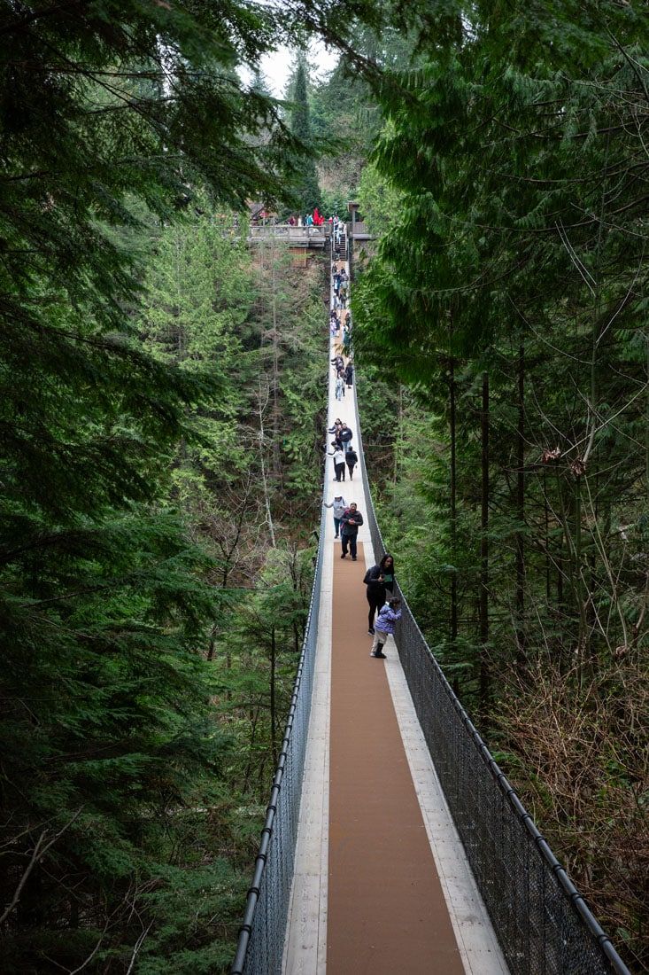 Capilano Suspension Bridge