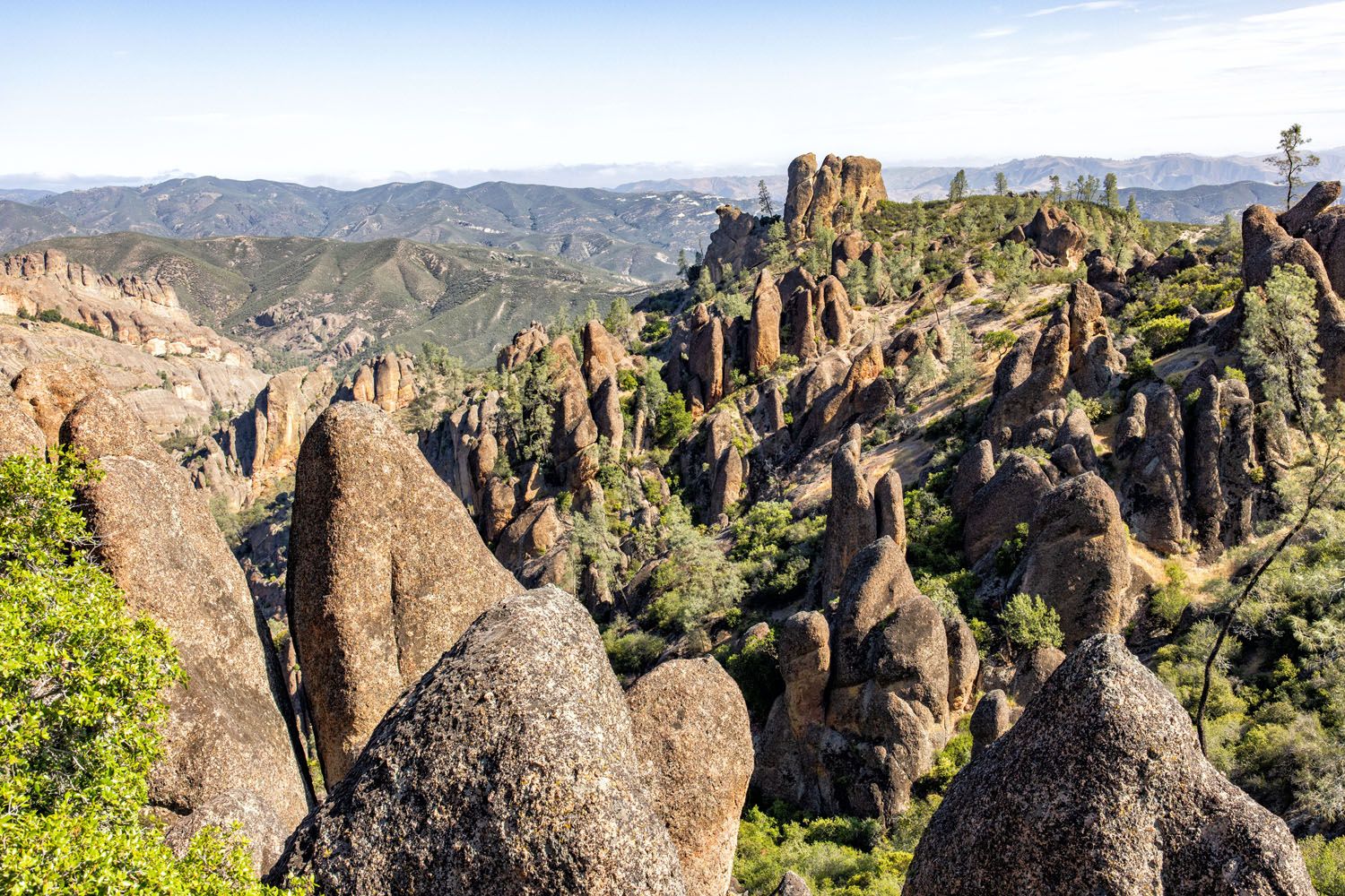 Condor Gulch Trail View
