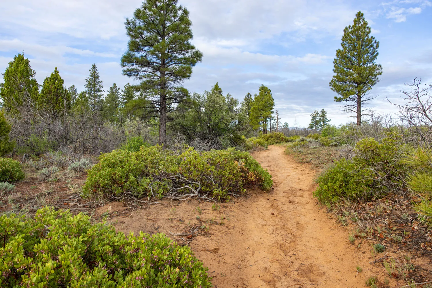 East Rim Trail Photo