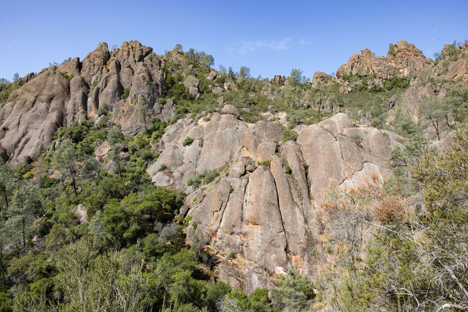 High Peaks Trail Condor Gulch