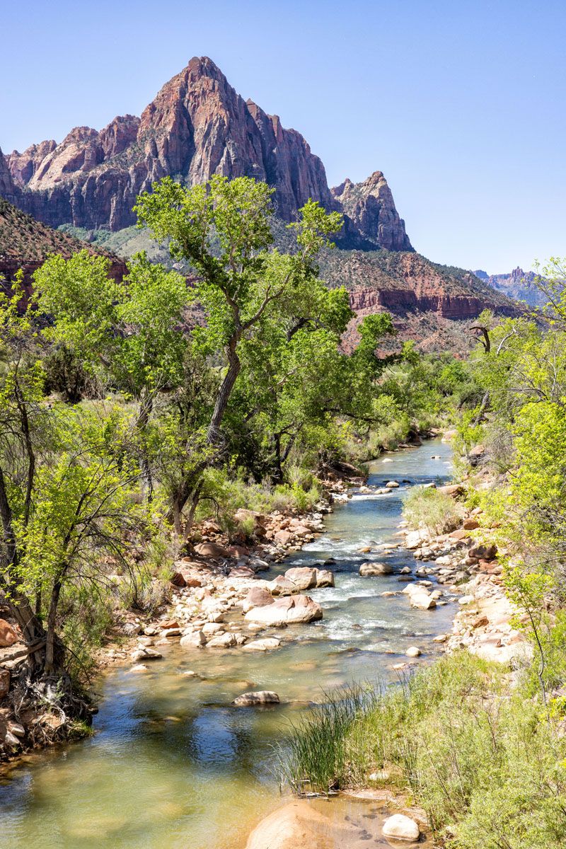 Hikes in Zion National Park