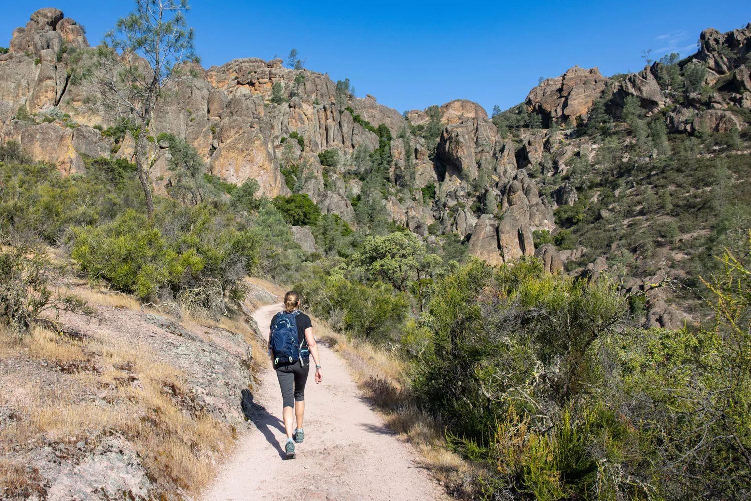 Julie on the High Peaks Trail Loop
