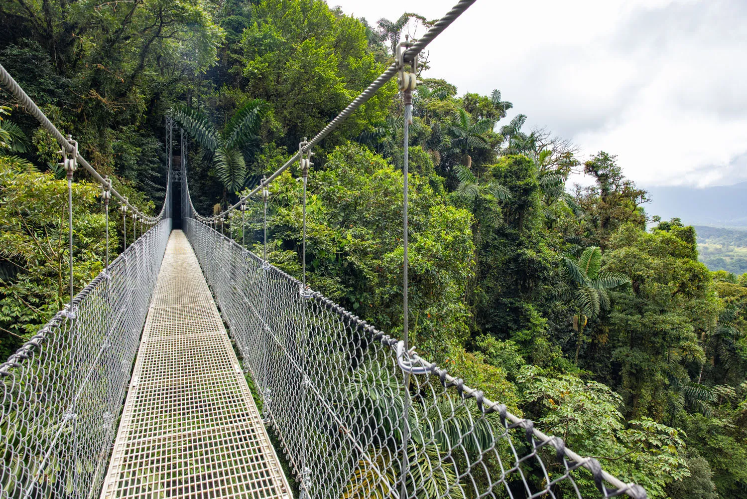 Mistico Hanging Bridges
