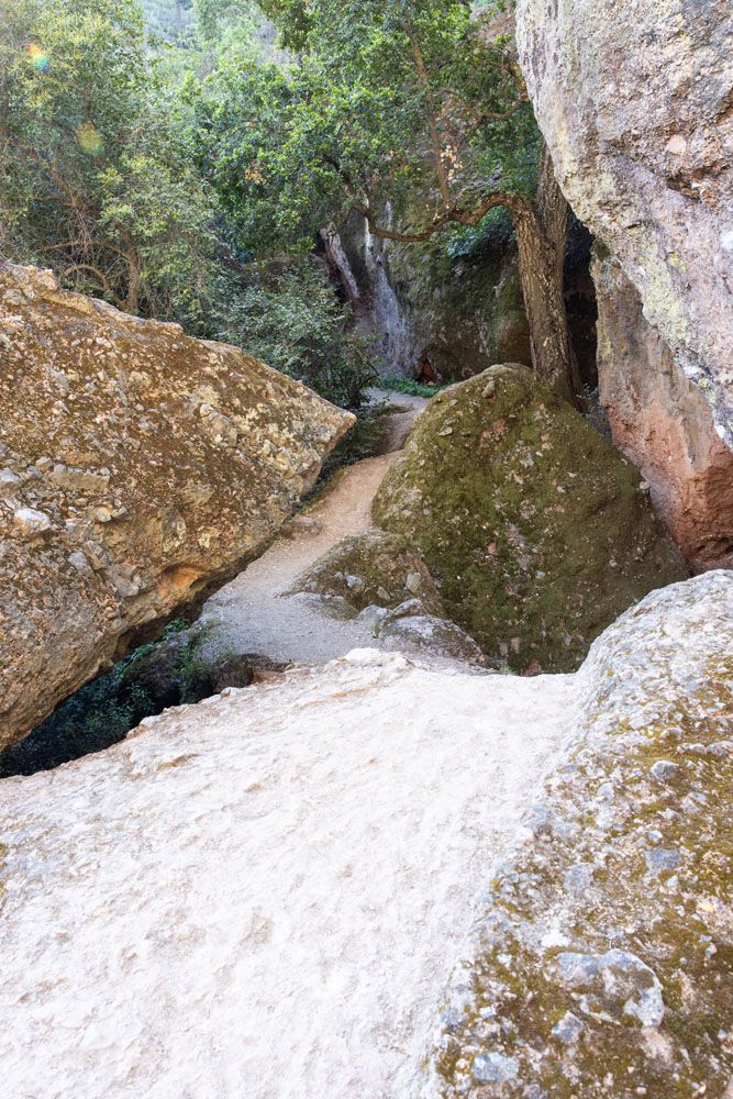 Moses Spring Trail Photo