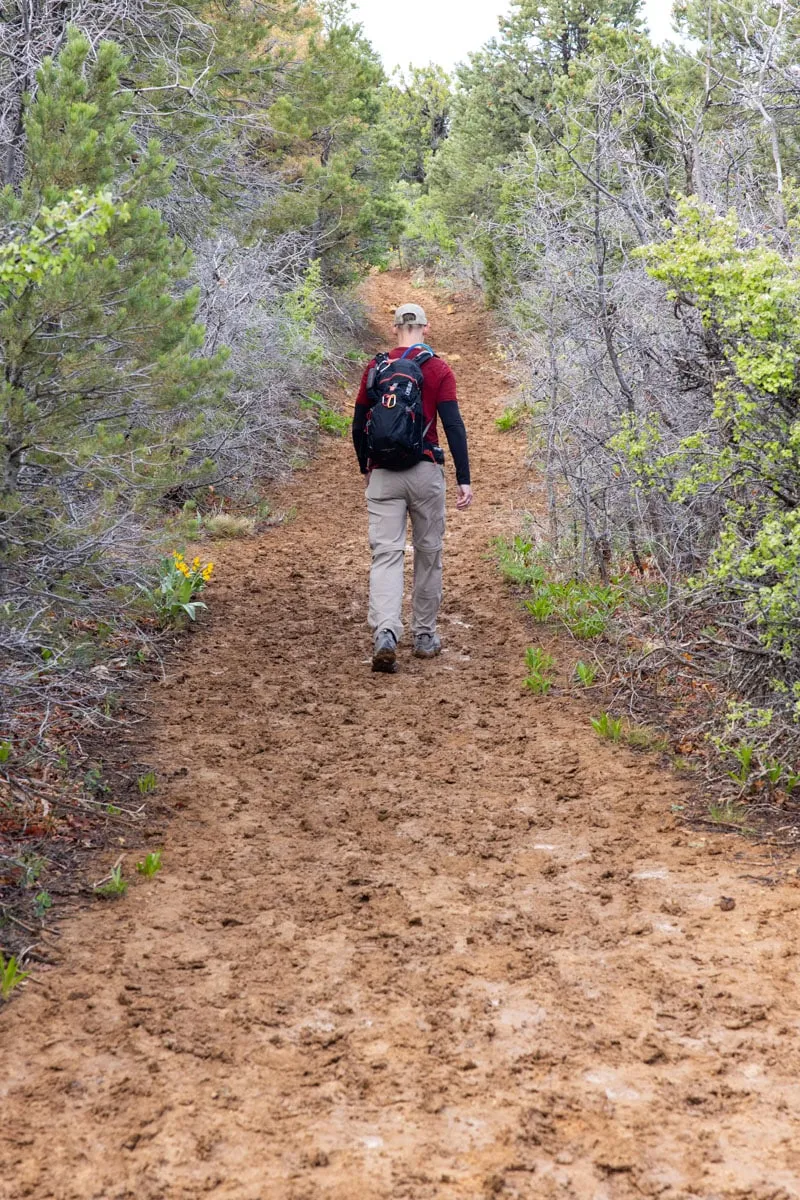 Muddy Trail Zion