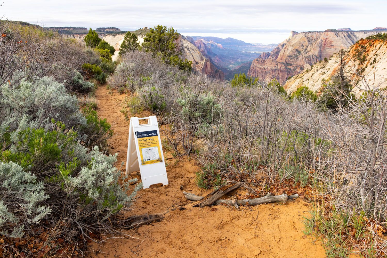 Observation Point Trail Split