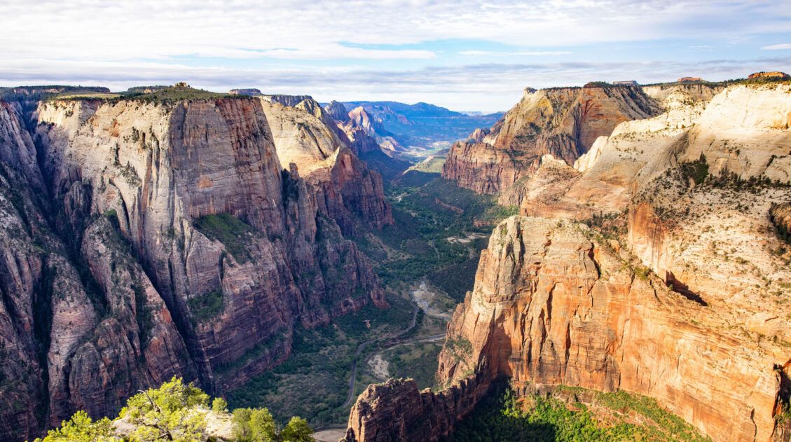 Observation Point Zion Photo