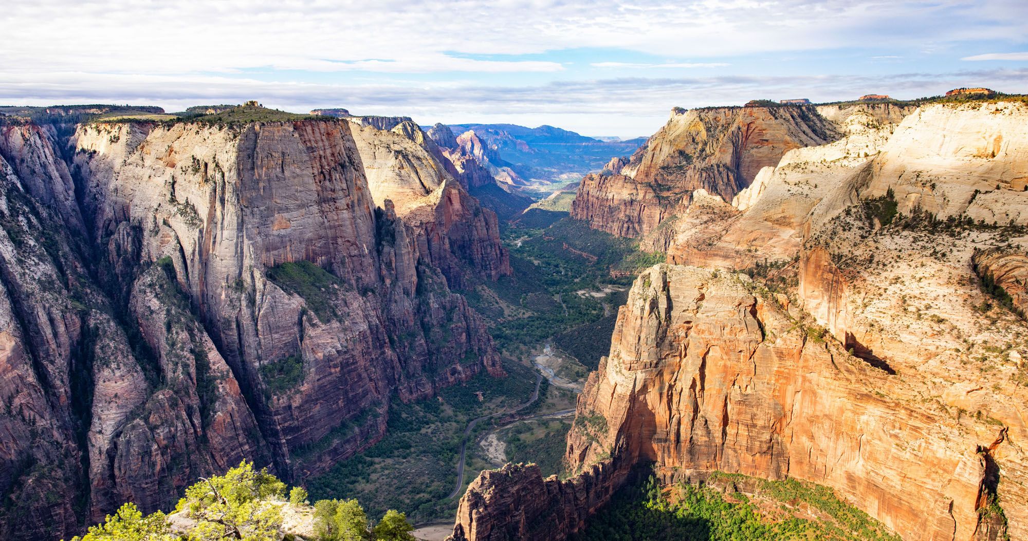 Observation Point Zion Photo