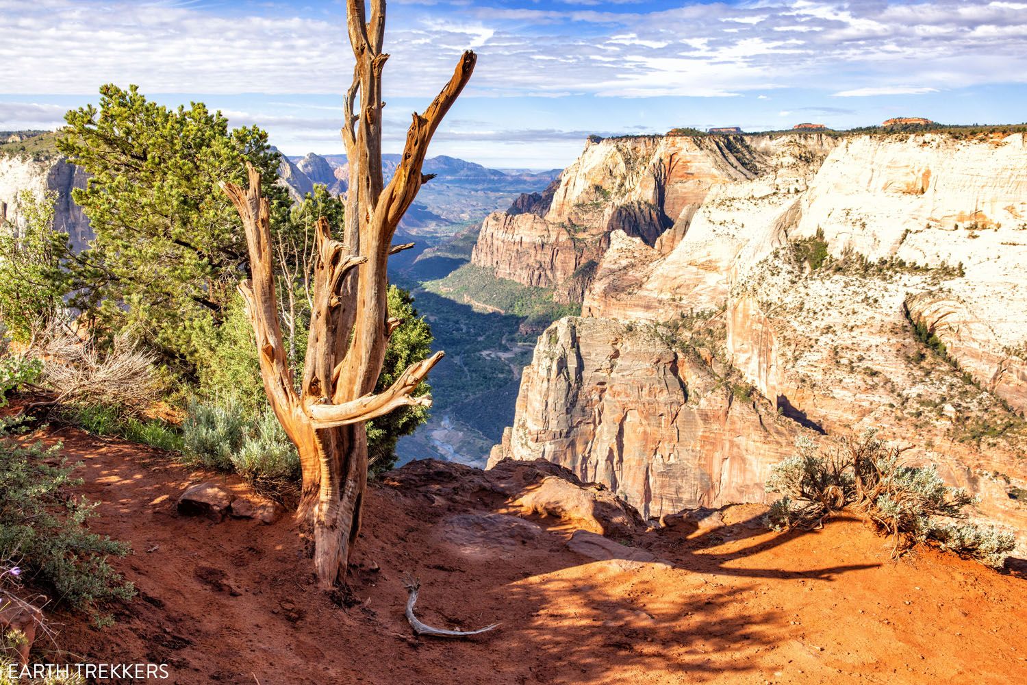 Photos from Observation Point