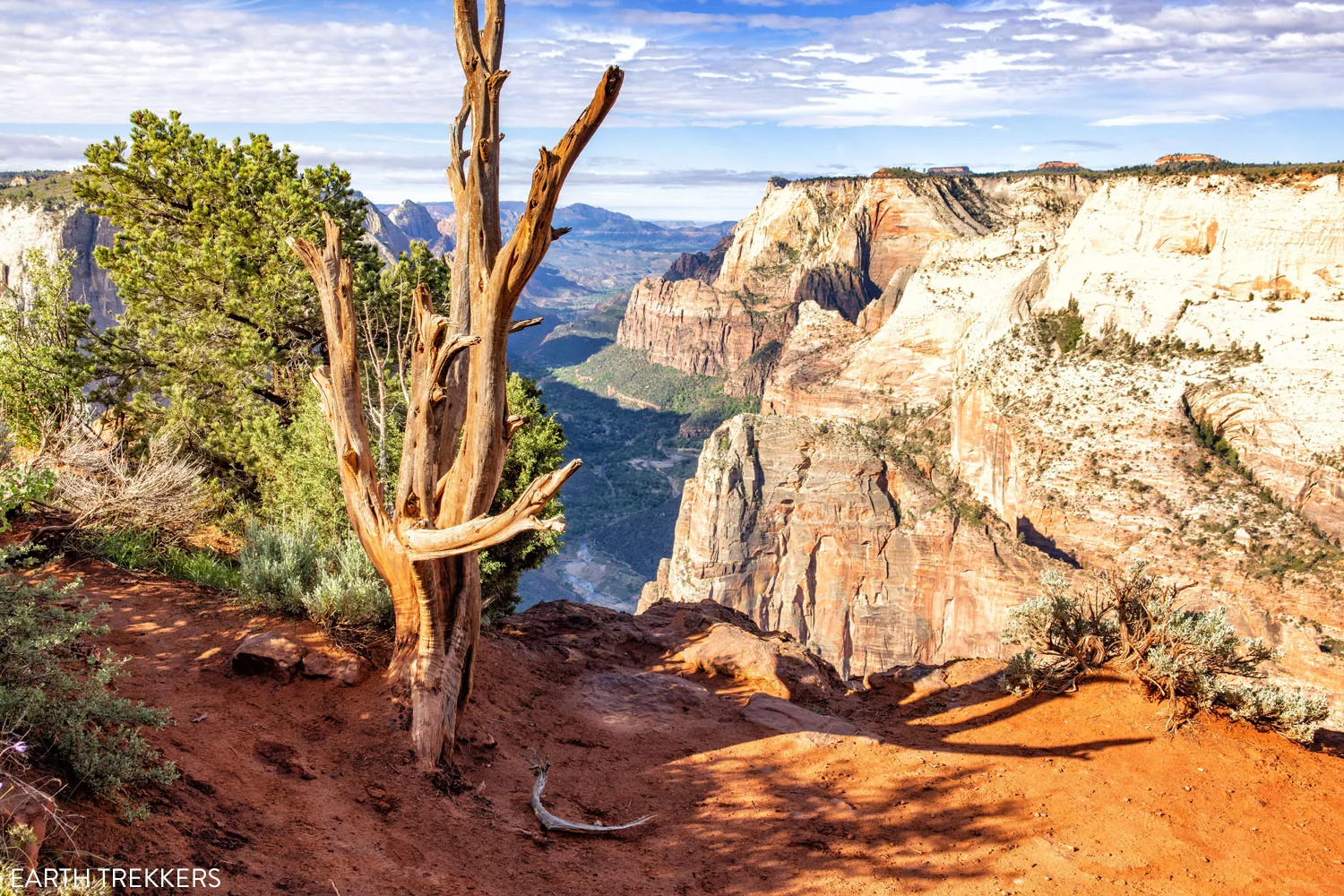 Photos from Observation Point