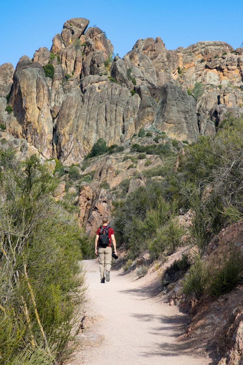Pinnacles National Park Hike