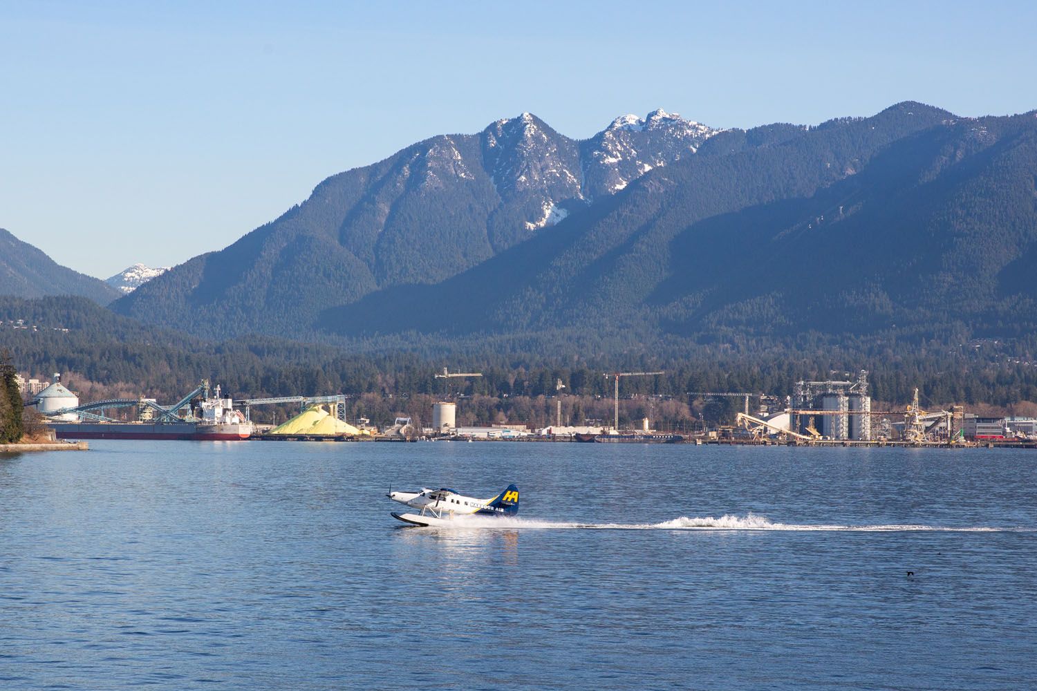 Seaplane Landing in the Harbour