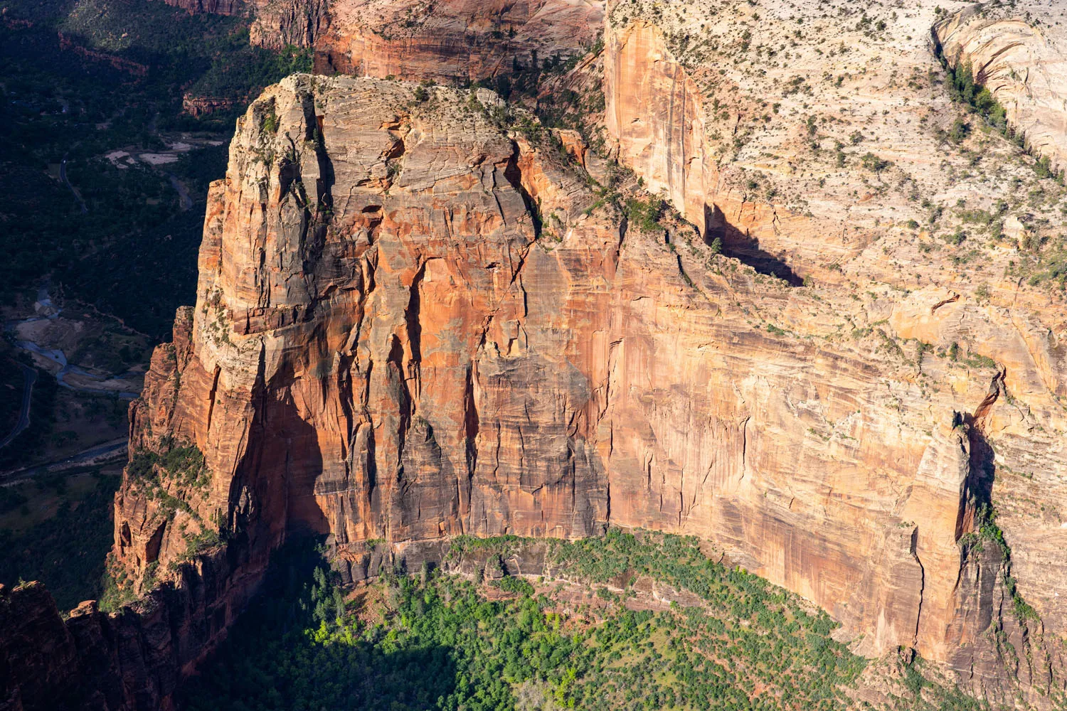 View of Angels Landing