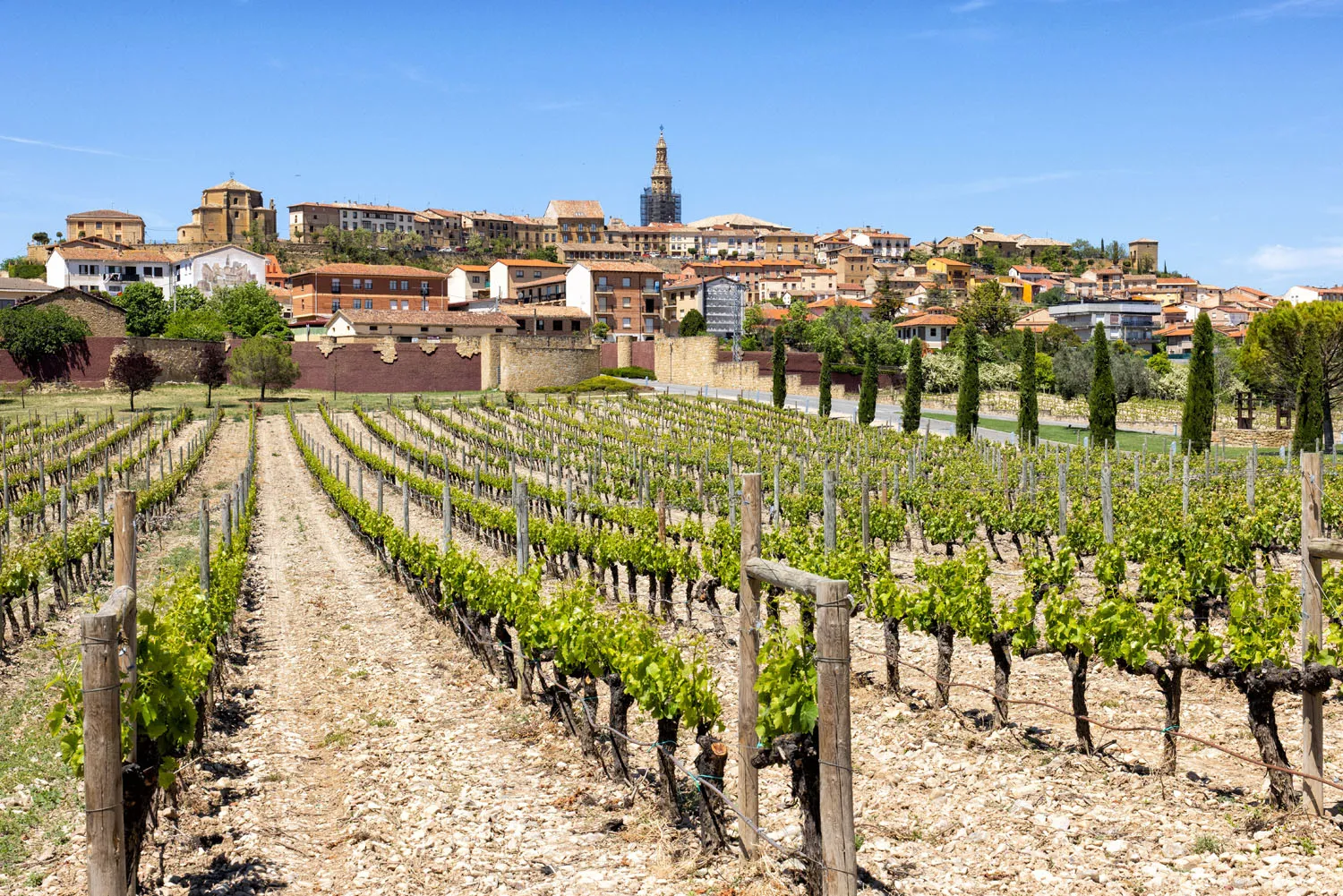 Briones Spain Rioja Wine Region