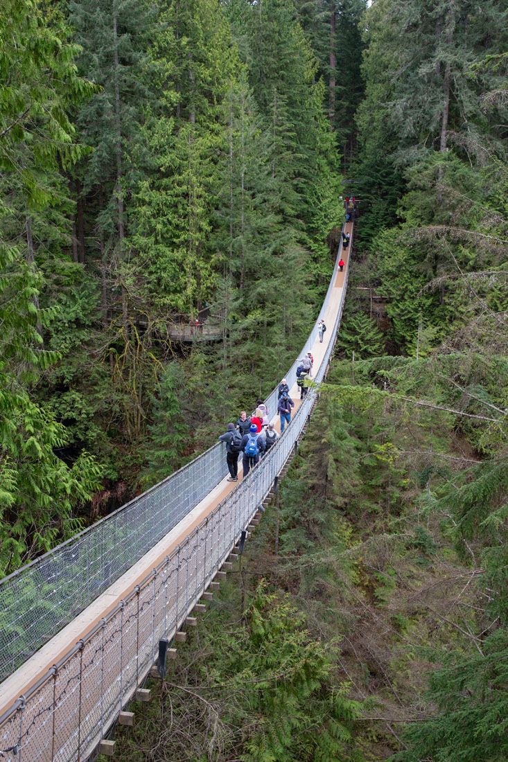 Capilano Suspension Bridge