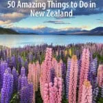 New Zealand Bucket List. Best things to do in New Zealand. Must-have experiences, plus links to help you plan the perfect trip.