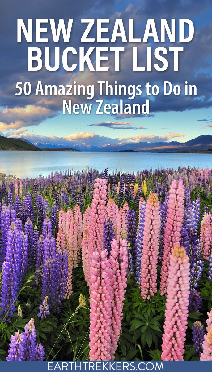 New Zealand Bucket List. Best things to do in New Zealand. Must-have experiences, plus links to help you plan the perfect trip.