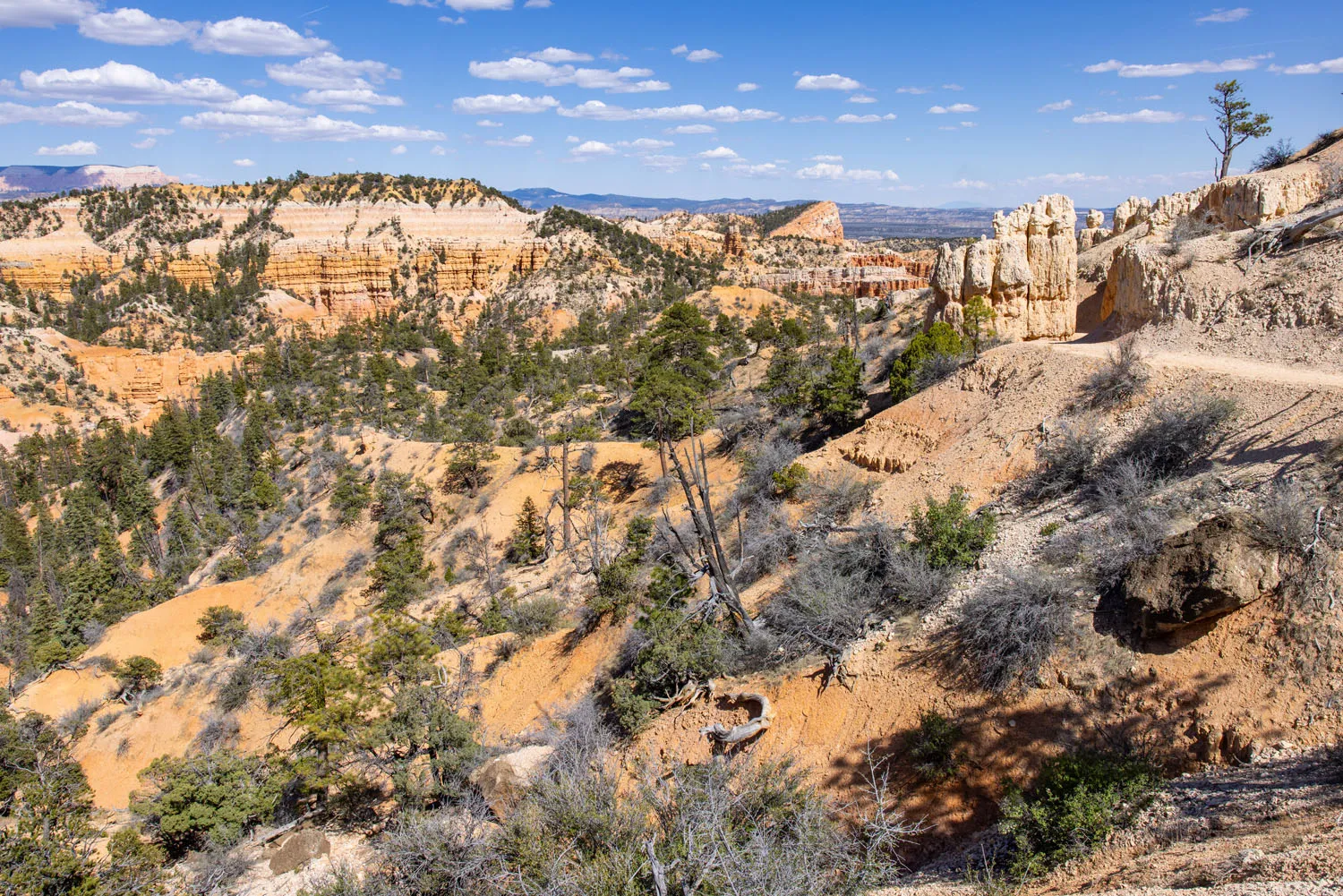 On the Fairyland Loop