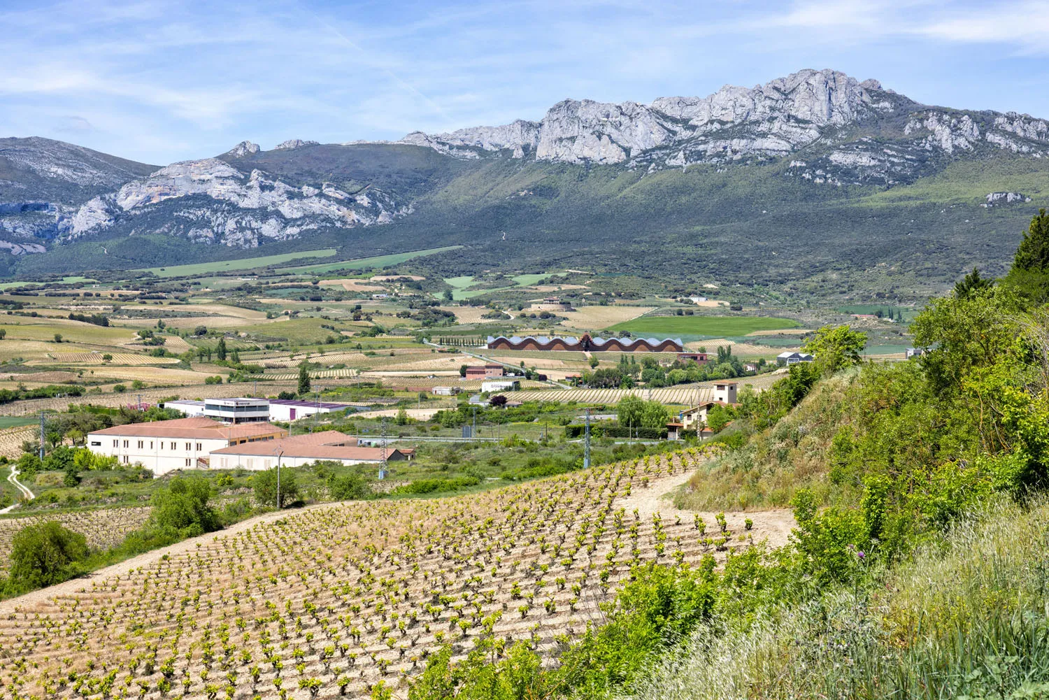 Rioja Wine Region Spain Photo