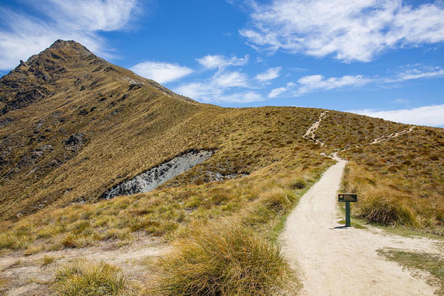 Ben Lomond Hike New Zealand