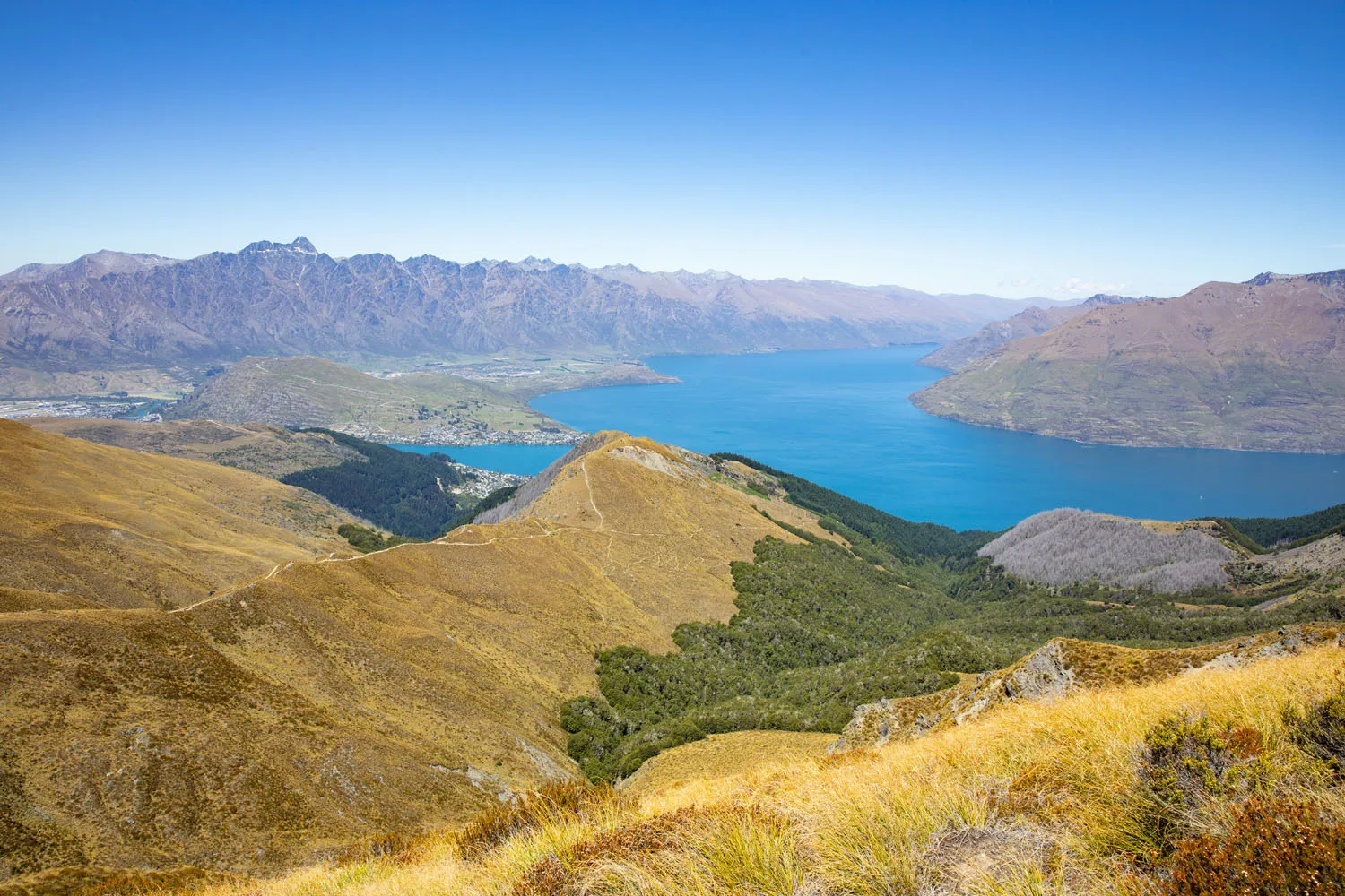 Ben Lomond Saddle View