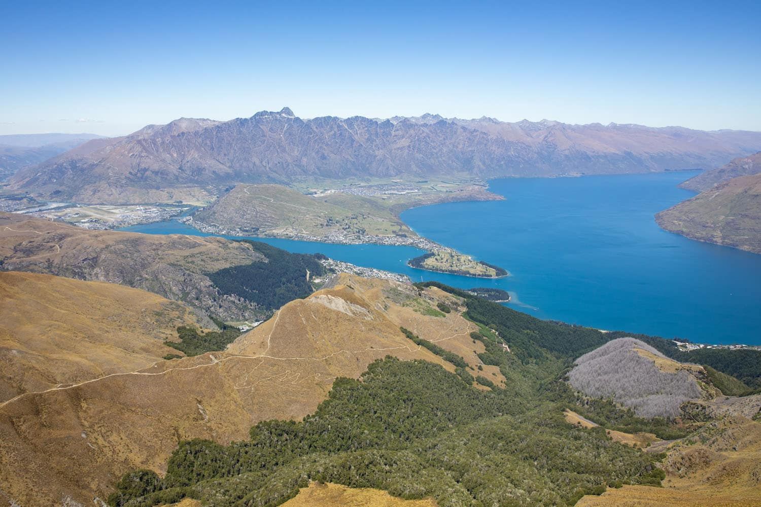 Ben Lomond Summit View