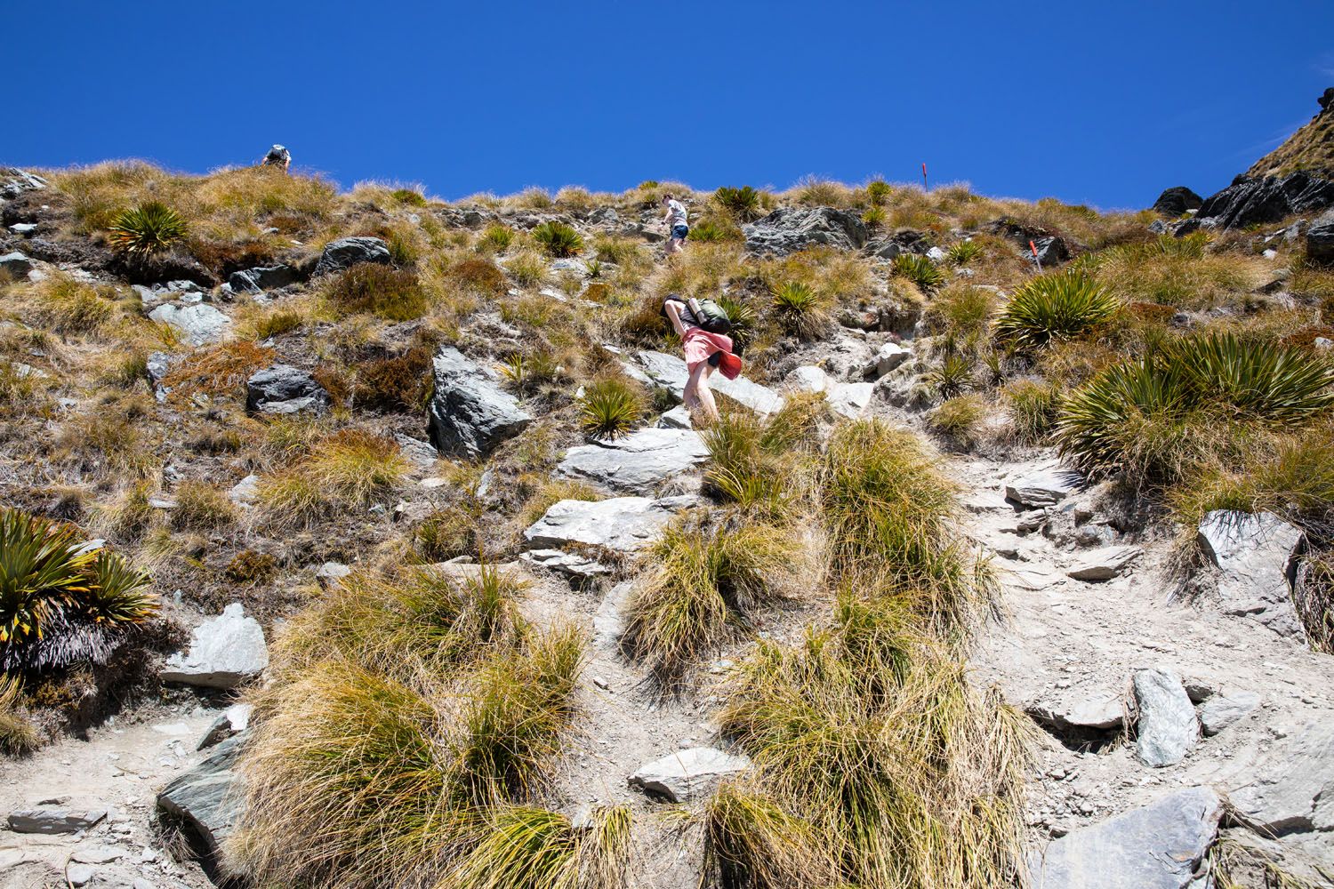 Ben Lomond Switchbacks