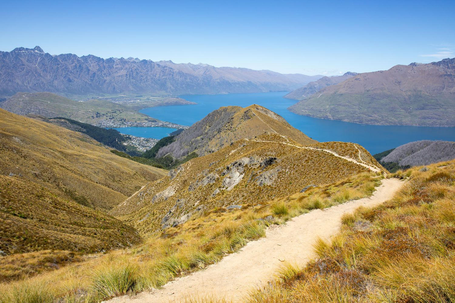 Ben Lomond Track Photo