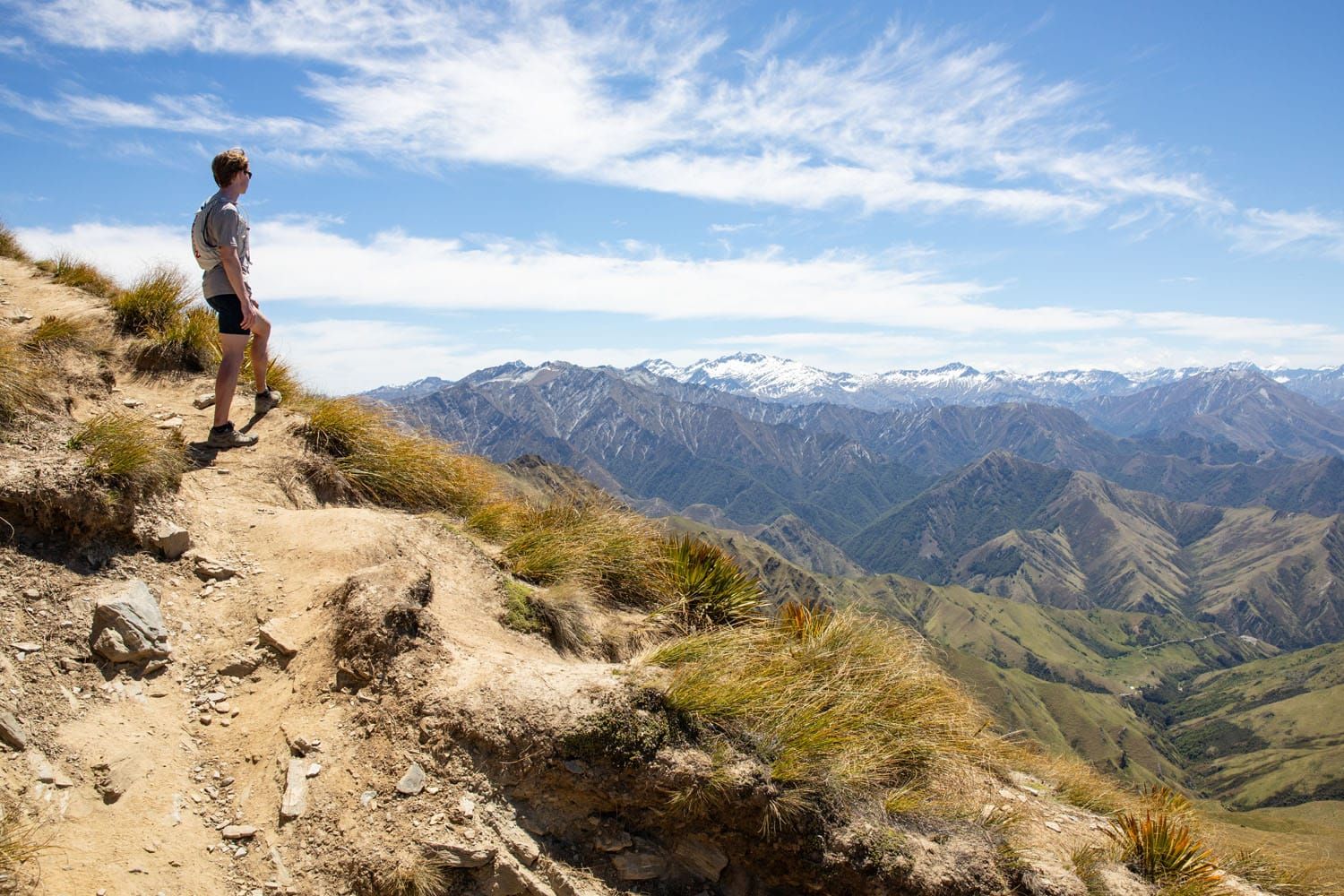 Ben Lomond Track View