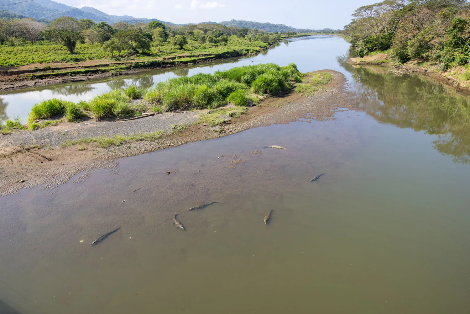 Crocodile Bridge Costa Rica