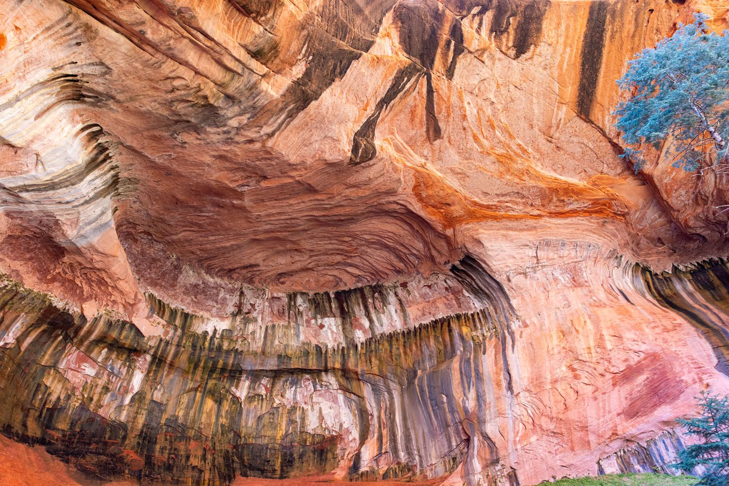 Kolob Canyons Things to Do